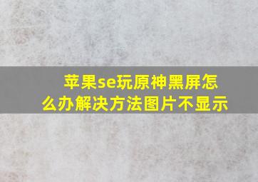 苹果se玩原神黑屏怎么办解决方法图片不显示