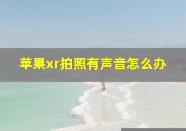 苹果xr拍照有声音怎么办