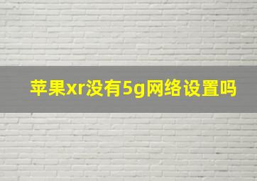 苹果xr没有5g网络设置吗