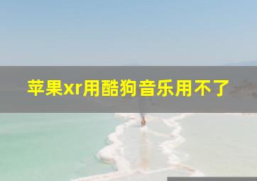 苹果xr用酷狗音乐用不了