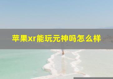 苹果xr能玩元神吗怎么样