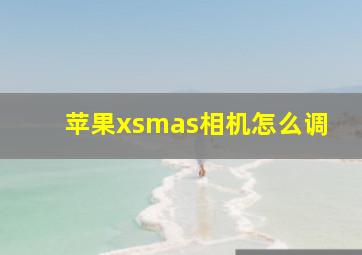 苹果xsmas相机怎么调