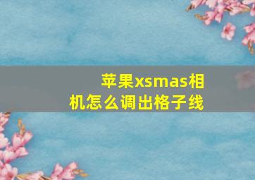 苹果xsmas相机怎么调出格子线