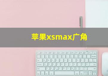 苹果xsmax广角