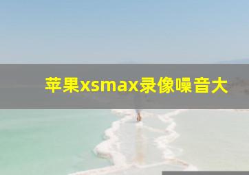 苹果xsmax录像噪音大