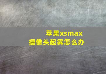 苹果xsmax摄像头起雾怎么办