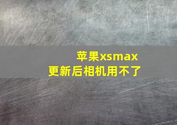 苹果xsmax更新后相机用不了