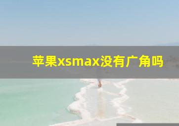 苹果xsmax没有广角吗