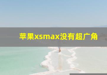 苹果xsmax没有超广角