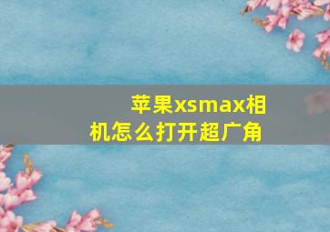 苹果xsmax相机怎么打开超广角