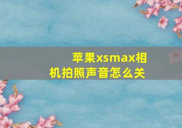 苹果xsmax相机拍照声音怎么关