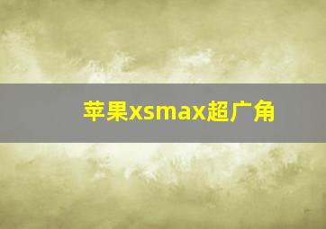 苹果xsmax超广角