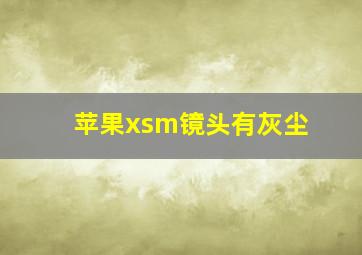 苹果xsm镜头有灰尘