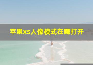 苹果xs人像模式在哪打开