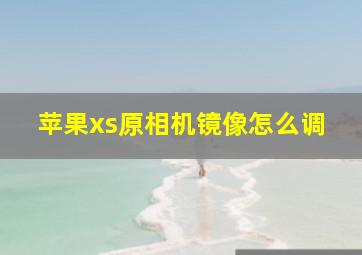 苹果xs原相机镜像怎么调