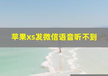 苹果xs发微信语音听不到