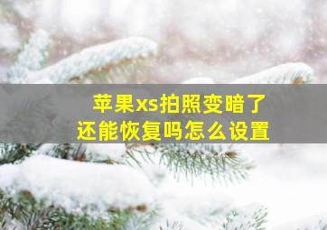 苹果xs拍照变暗了还能恢复吗怎么设置