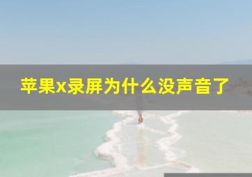 苹果x录屏为什么没声音了