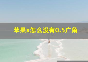 苹果x怎么没有0.5广角