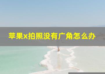 苹果x拍照没有广角怎么办