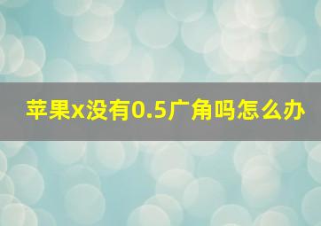 苹果x没有0.5广角吗怎么办