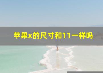 苹果x的尺寸和11一样吗