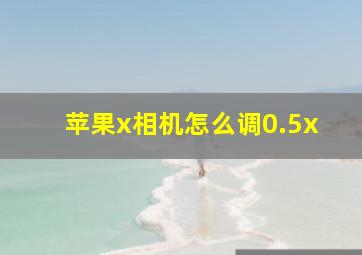 苹果x相机怎么调0.5x