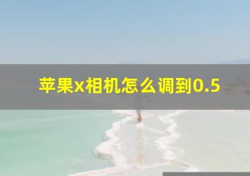 苹果x相机怎么调到0.5