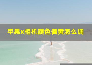 苹果x相机颜色偏黄怎么调