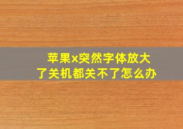 苹果x突然字体放大了关机都关不了怎么办