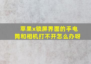 苹果x锁屏界面的手电筒和相机打不开怎么办呀