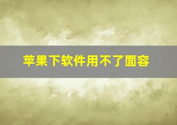 苹果下软件用不了面容