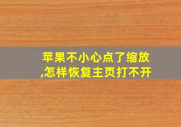 苹果不小心点了缩放,怎样恢复主页打不开