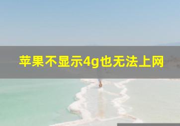 苹果不显示4g也无法上网