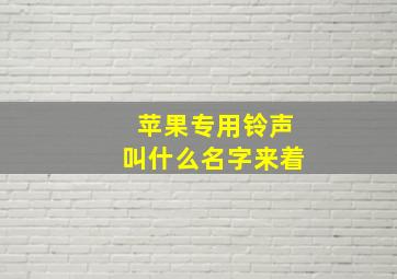 苹果专用铃声叫什么名字来着