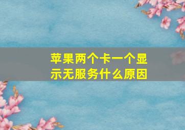 苹果两个卡一个显示无服务什么原因