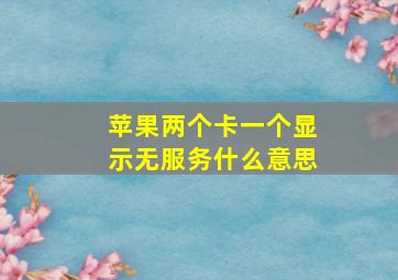 苹果两个卡一个显示无服务什么意思