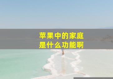 苹果中的家庭是什么功能啊