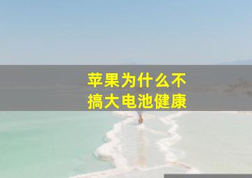 苹果为什么不搞大电池健康