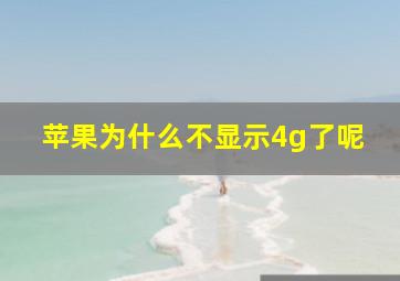 苹果为什么不显示4g了呢