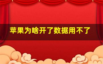 苹果为啥开了数据用不了