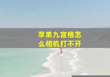 苹果九宫格怎么相机打不开