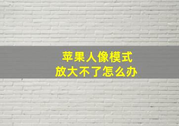 苹果人像模式放大不了怎么办