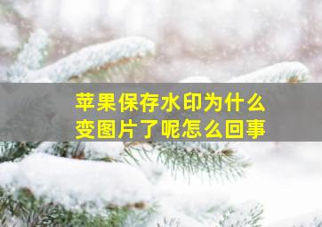 苹果保存水印为什么变图片了呢怎么回事