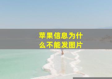 苹果信息为什么不能发图片