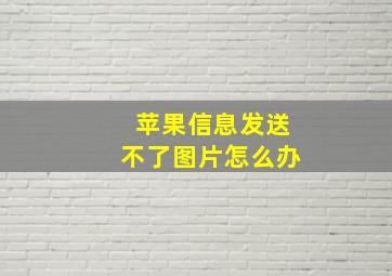 苹果信息发送不了图片怎么办