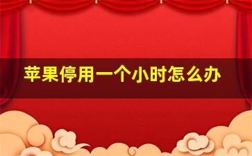 苹果停用一个小时怎么办