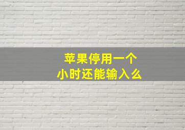 苹果停用一个小时还能输入么