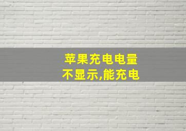 苹果充电电量不显示,能充电