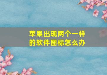 苹果出现两个一样的软件图标怎么办